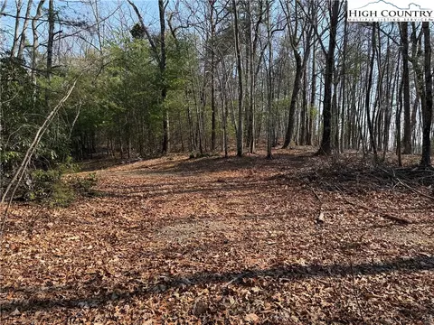 lot227 Deer Run Rd, Purlear, NC 28665 photo 8