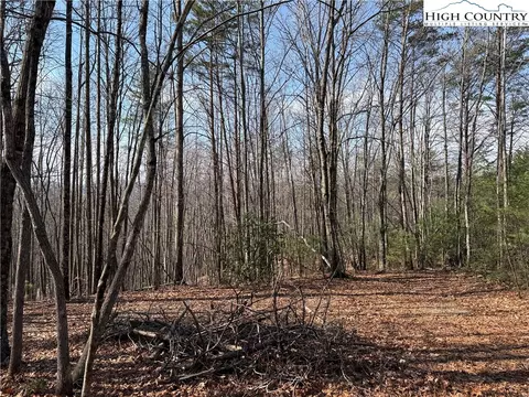 lot227 Deer Run Rd, Purlear, NC 28665 photo 4