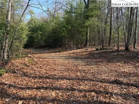 lot227 Deer Run Rd, Purlear, NC 28665 photo 9
