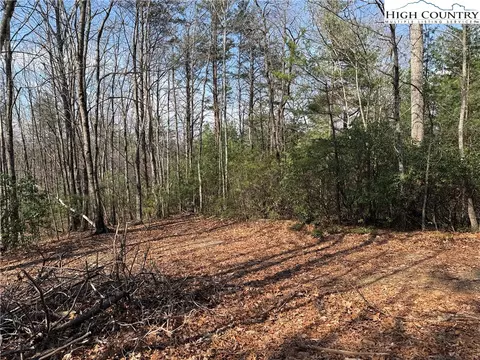 lot227 Deer Run Rd, Purlear, NC 28665 photo 5