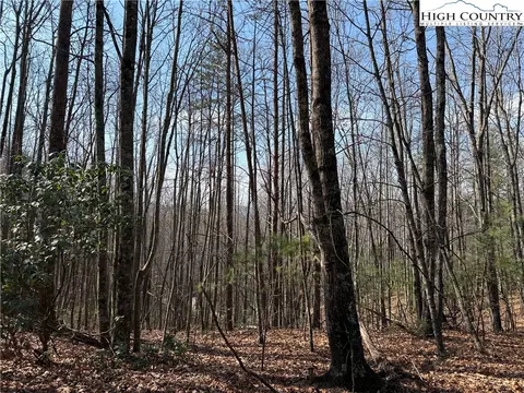 lot227 Deer Run Rd, Purlear, NC 28665 photo 6