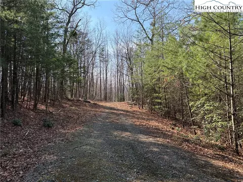 lot227 Deer Run Rd, Purlear, NC 28665 photo 3