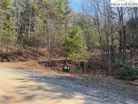 lot227 Deer Run Rd, Purlear, NC 28665 photo 13