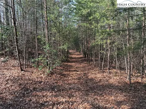 lot227 Deer Run Rd, Purlear, NC 28665 photo 7