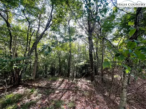 315 Pinnacle Ridge Rd, Beech Mountain, NC 28604 photo 2