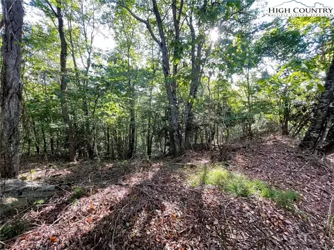 315 Pinnacle Ridge Rd, Beech Mountain, NC 28604 photo 4