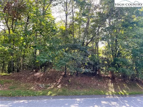 315 Pinnacle Ridge Rd, Beech Mountain, NC 28604 photo 5
