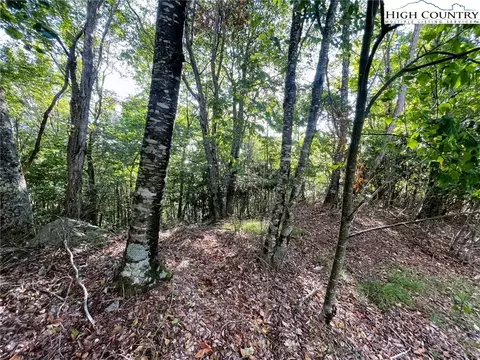 315 Pinnacle Ridge Rd, Beech Mountain, NC 28604 photo 3