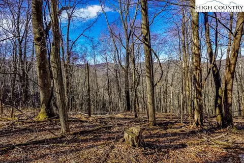 tbd Little Tree Ln, Banner Elk, NC 28604
