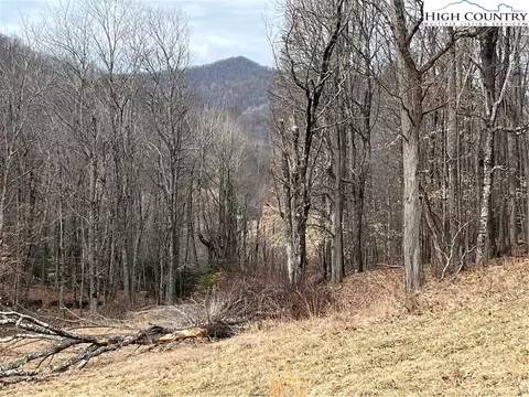 lot38 Poplar Forest Dr, Boone, NC 28607