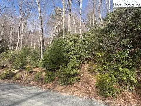 293 Poplar Dr, Beech Mountain, NC 28604 photo 6