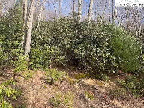 293 Poplar Dr, Beech Mountain, NC 28604 photo 2