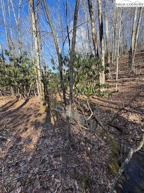 tbd Bald Mountain Rd, West Jefferson, NC 28694