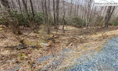 327 Locust Ridge Rd, Beech Mountain, NC 28604 photo 19