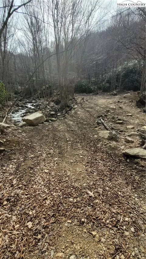 327 Locust Ridge Rd, Beech Mountain, NC 28604 photo 13
