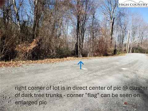 327 Locust Ridge Rd, Beech Mountain, NC 28604 photo 22
