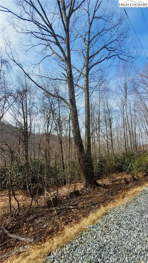 327 Locust Ridge Rd, Beech Mountain, NC 28604 photo 24