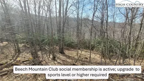 327 Locust Ridge Rd, Beech Mountain, NC 28604