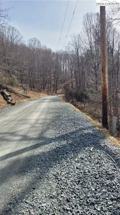 327 Locust Ridge Rd, Beech Mountain, NC 28604 photo 3