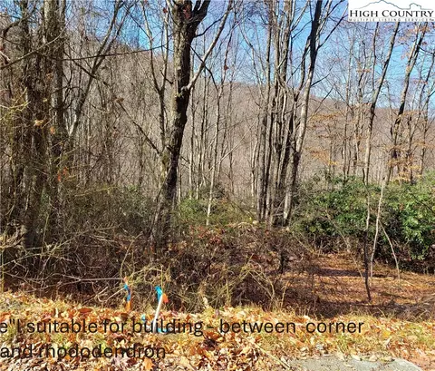 327 Locust Ridge Rd, Beech Mountain, NC 28604 photo 20