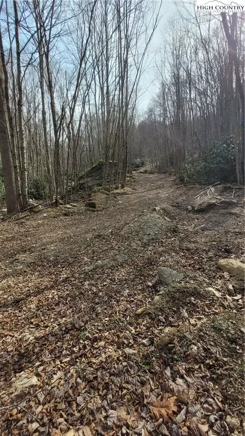 327 Locust Ridge Rd, Beech Mountain, NC 28604 photo 15