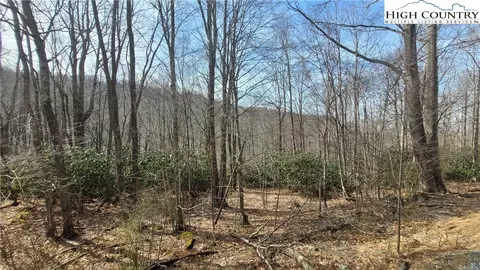 327 Locust Ridge Rd, Beech Mountain, NC 28604 photo 27