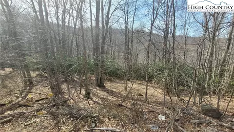 327 Locust Ridge Rd, Beech Mountain, NC 28604 photo 5