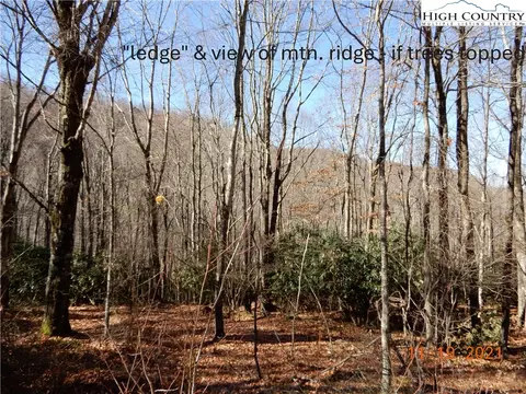 327 Locust Ridge Rd, Beech Mountain, NC 28604 photo 25