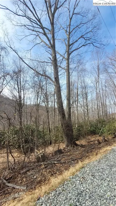 327 Locust Ridge Rd, Beech Mountain, NC 28604 photo 10