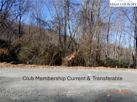 327 Locust Ridge Rd, Beech Mountain, NC 28604 photo 2