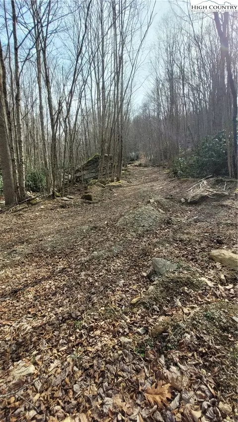 327 Locust Ridge Rd, Beech Mountain, NC 28604 photo 14