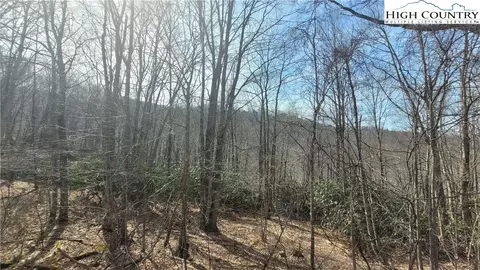 327 Locust Ridge Rd, Beech Mountain, NC 28604 photo 7