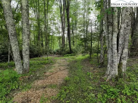 1776 Ripshin Mountain Rd, Roan Mountain, TN 37687