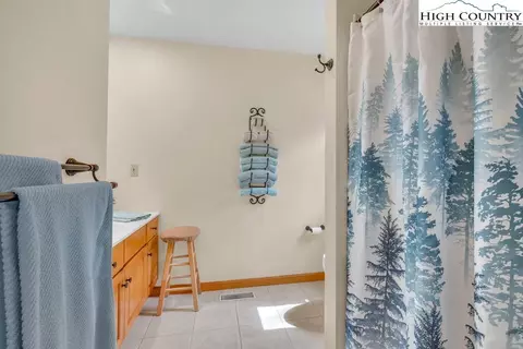 Bath - 438 Virgils Ln, Boone, NC 28607 photo 2 of 3