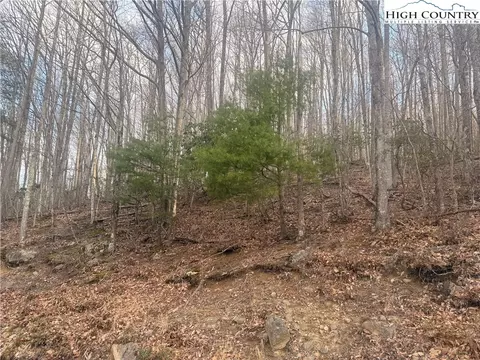 212 Jackpine Rd, Beech Mountain, NC 28604