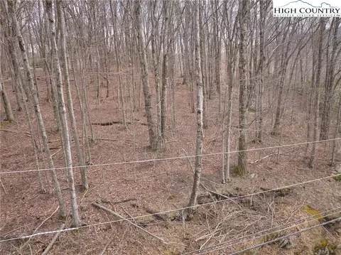 217 Overbrook Trl, Beech Mountain, NC 28604 photo 3