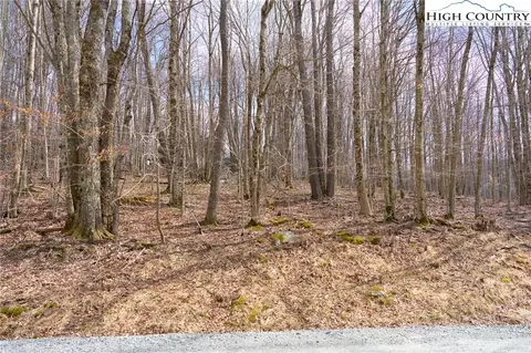 217 Overbrook Trl, Beech Mountain, NC 28604 photo 16