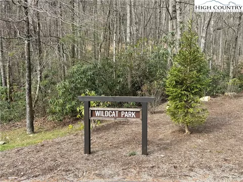 tbd Wildcat Wilderness Pkwy, Deep Gap, NC 28618 photo 22