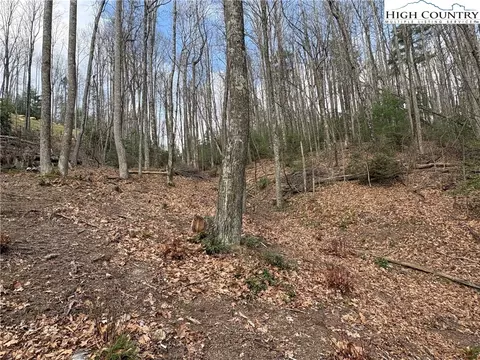 tbd Wildcat Wilderness Pkwy, Deep Gap, NC 28618 photo 12
