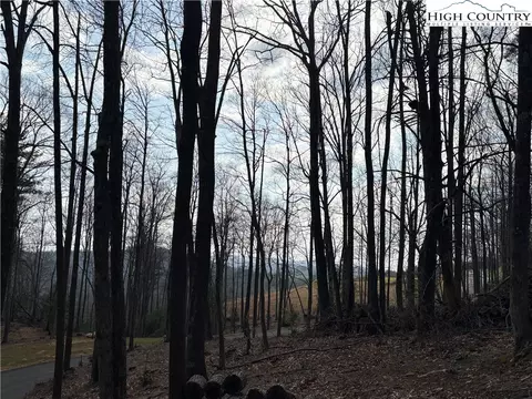 tbd Wildcat Wilderness Pkwy, Deep Gap, NC 28618 photo 14
