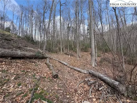 tbd Wildcat Wilderness Pkwy, Deep Gap, NC 28618 photo 8