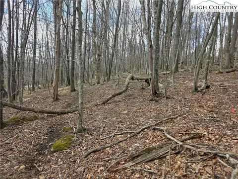 109 Hawthorne Rd, Beech Mountain, NC 28604 photo 8