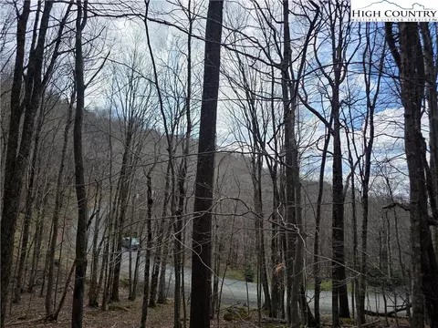 109 Hawthorne Rd, Beech Mountain, NC 28604 photo 2