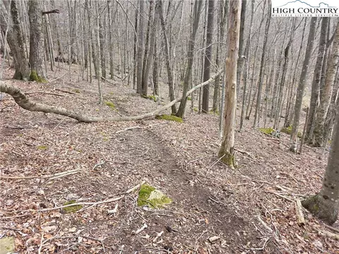 109 Hawthorne Rd, Beech Mountain, NC 28604 photo 10