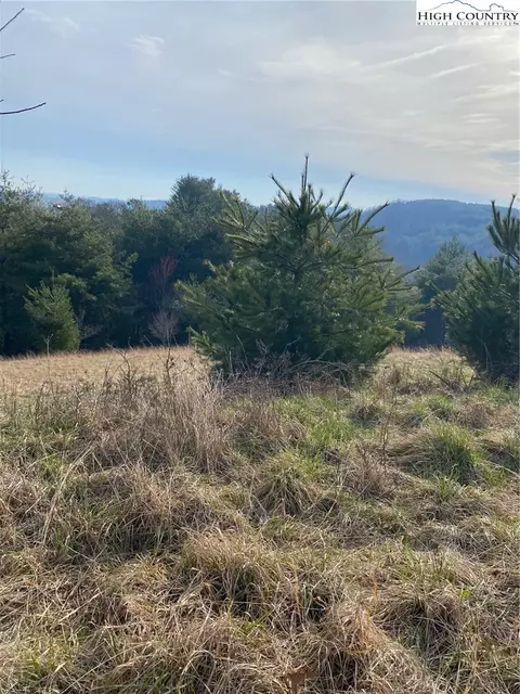 tbd Autumn Glen Dr, Sparta, NC 28675