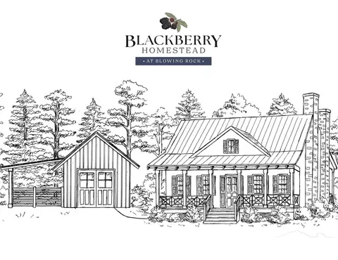 9379 Blackberry Rd, Lenoir, NC 28645