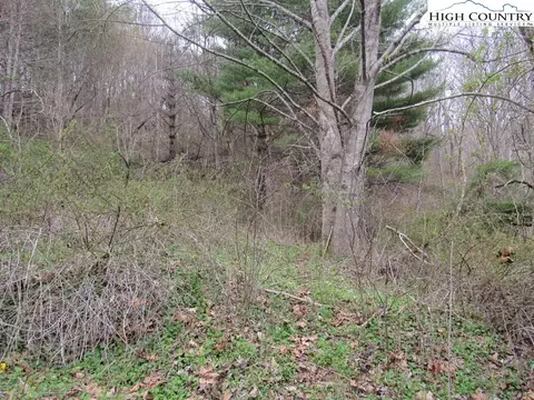 tbd Nc Hwy 88 W, Creston, NC 28615
