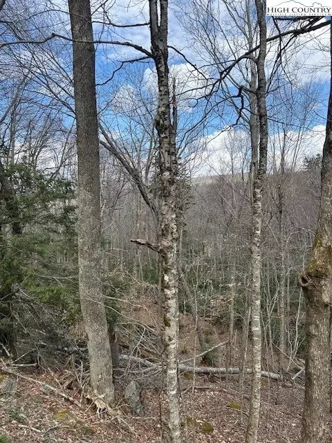 116 E Blueberry Ln, Beech Mountain, NC 28604