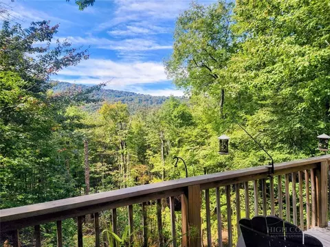 129 Lower Grouse Ridge Rd, Beech Mountain, NC 28604