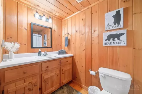 Bath - 376 Yellow Bear Rd, Todd, NC 28684 photo 5 of 5